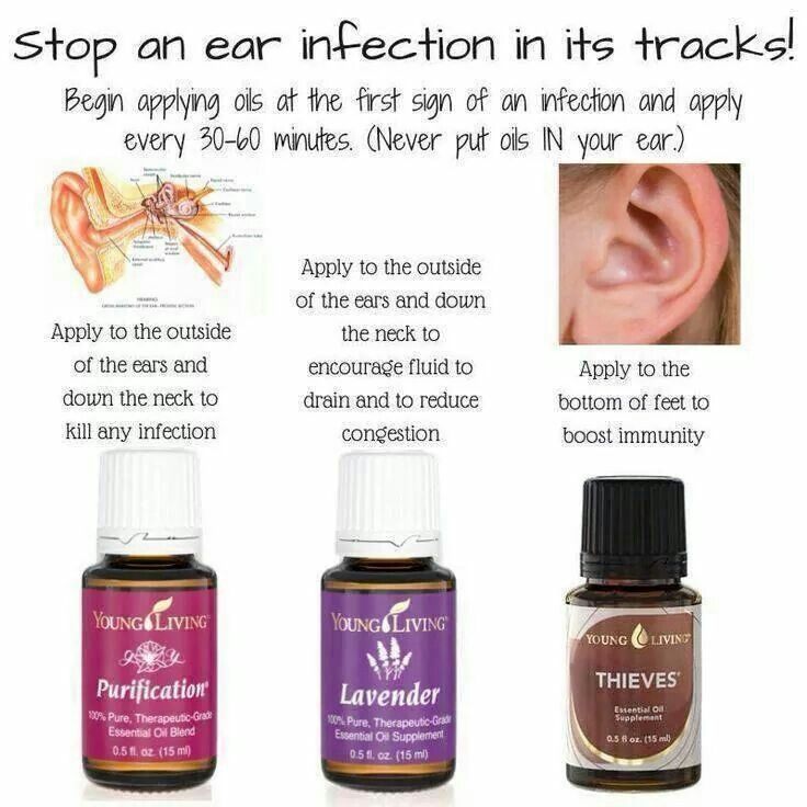 Young Living Oils For Ear Infection